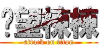 絕望棟棟 (attack on titan)