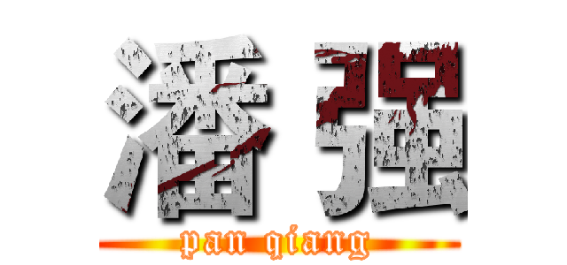 潘 强 (pan qiang)