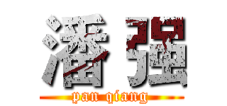 潘 强 (pan qiang)