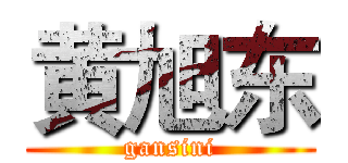 黄旭东 (gansini)