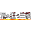 荒れ狂う三根 ( )