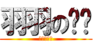 羽羽の鲑鱼 (羽羽の鲑鱼)