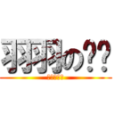 羽羽の鲑鱼 (羽羽の鲑鱼)