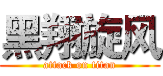 黑翔旋风 (attack on titan)