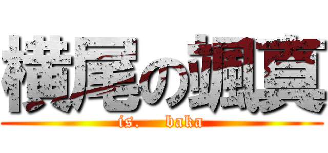 横尾の颯真 (is.    baka)