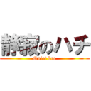 静寂のハチ (Quiet bee)