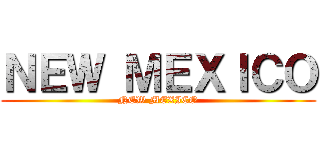 ＮＥＷ ＭＥＸＩＣＯ (NEW MEXICO)