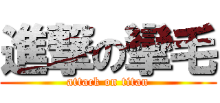 進撃の攣毛 (attack on titan)