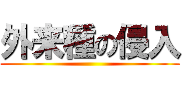 外来種の侵入 ()