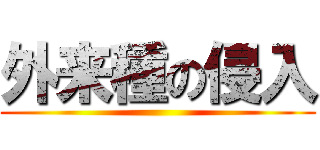 外来種の侵入 ()