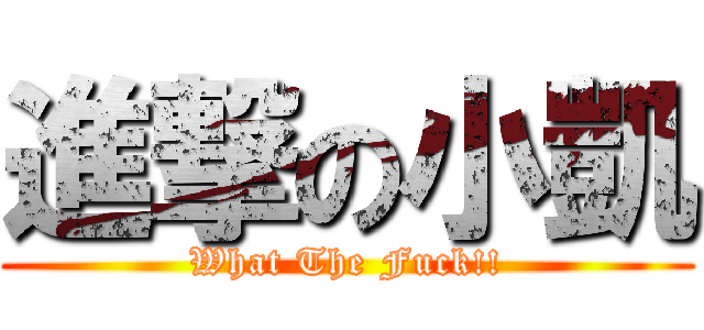 進撃の小凱 (What The Fuck!!)