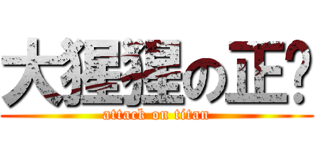 大猩猩の正义 (attack on titan)