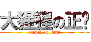 大猩猩の正义 (attack on titan)