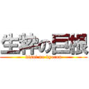 生粋の巨根 (kisui no kyocon)