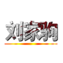 刘家驹 ()