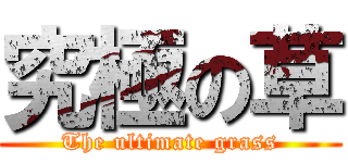 究極の草 (The ultimate grass)