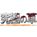 究極の草 (The ultimate grass)