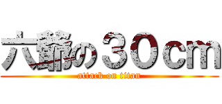 六爺の３０ｃｍ (attack on titan)