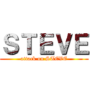 ＳＴＥＶＥ (attack on STEVE)