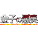 金子の悪臭 (attack on titan)