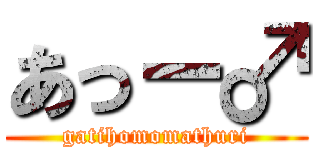 あっー♂ (gatihomomathuri)