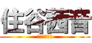 住谷茜音 (すみやあかね)