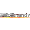 進撃の張ｍａｎｄｙ (attack on mandy)