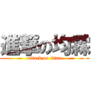 進撃の均霖 (attack on titan)