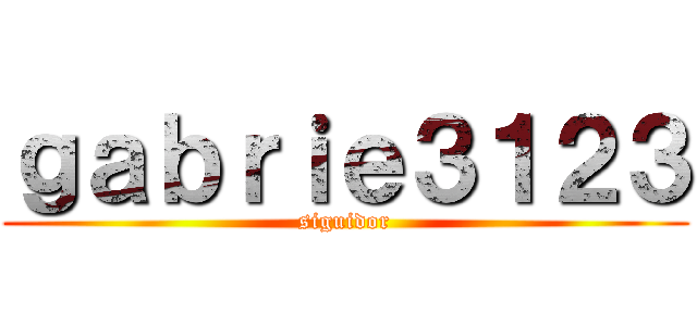 ｇａｂｒｉｅ３１２３ (siguidor)