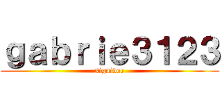 ｇａｂｒｉｅ３１２３ (siguidor)