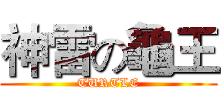 神雷の龜王 (TURTLE)