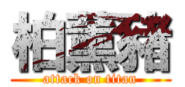 柏薰豬 (attack on titan)