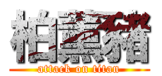 柏薰豬 (attack on titan)
