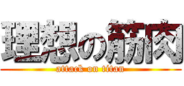 理想の筋肉 (attack on titan)