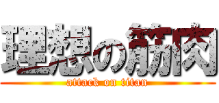 理想の筋肉 (attack on titan)