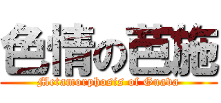 色情の芭施 (Metamorphosis of Guava)