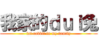 我家的ｄｕｉ兔 (fat rabbit in my family)