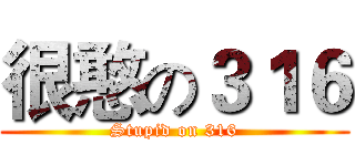 很憨の３１６ (Stupid on 316)