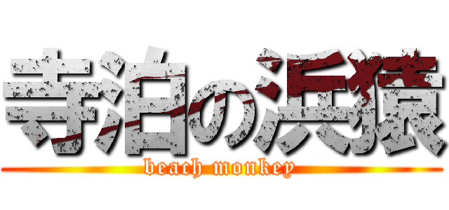 寺泊の浜猿 (beach monkey)