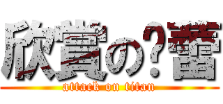 欣賞の蓓蕾 (attack on titan)