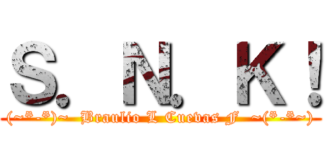 Ｓ．Ｎ．Ｋ！ ((~*-*)~  Braulio L Cuevas F  ~(*-*~))