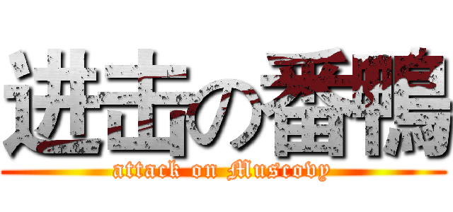 进击の番鴨 (attack on Muscovy)