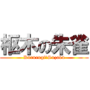 枢木の朱雀 (Kururugi　Suzaku)