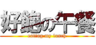 好飽の午餐 (eating my lunch)