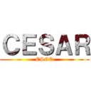 ＣＥＳＡＲ (ESCO)