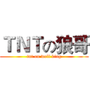 ＴＮＴの狼哥 (tnt on wolf king)