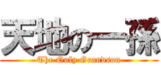 天地の一孫 (The Only Grandson)