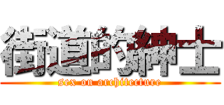 街道的紳士 (sex on architecture)