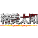 精美太阳 (jingmeitaiyang)