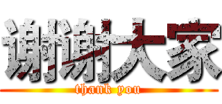 谢谢大家 (thank you)
